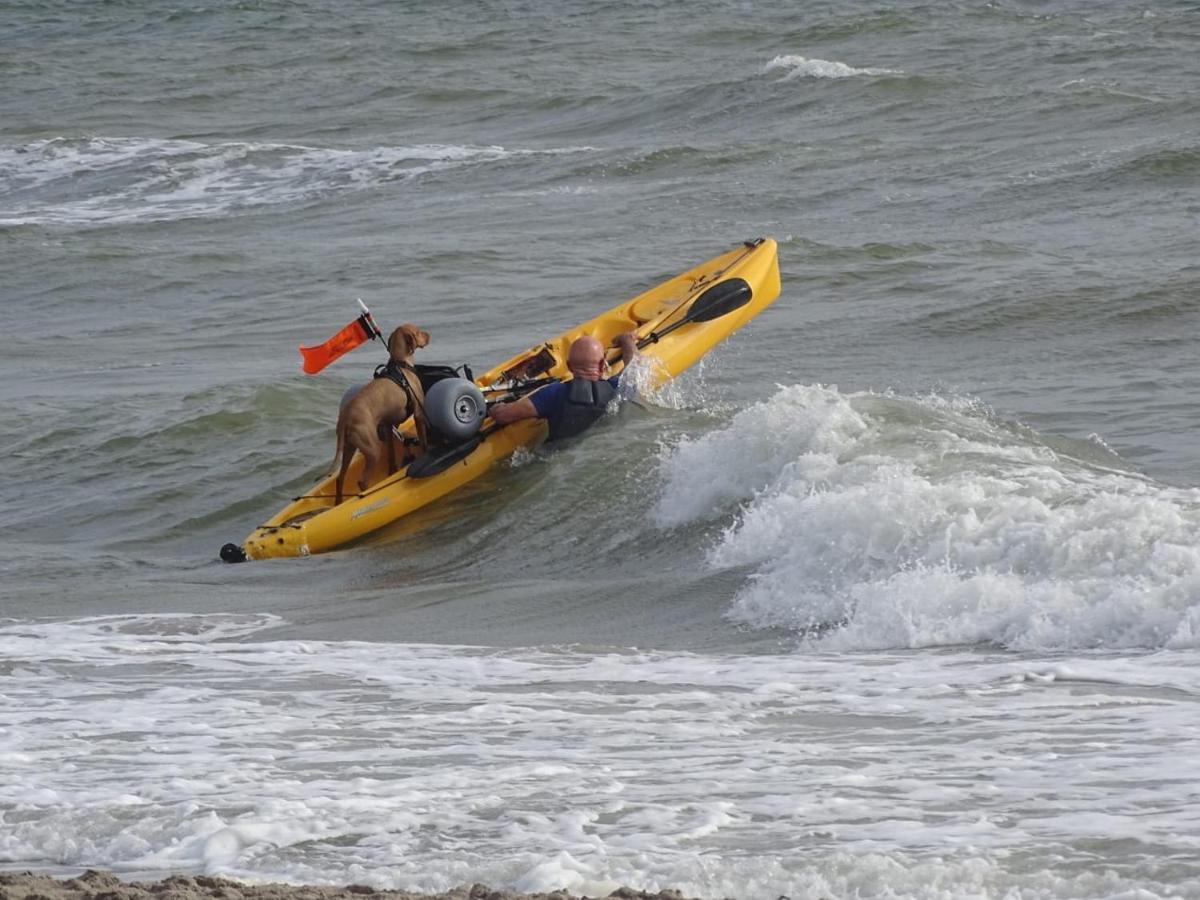 Vakantiewoning "Aan Het Bosje" Zoutelande - Strand 200M ! Ngoại thất bức ảnh